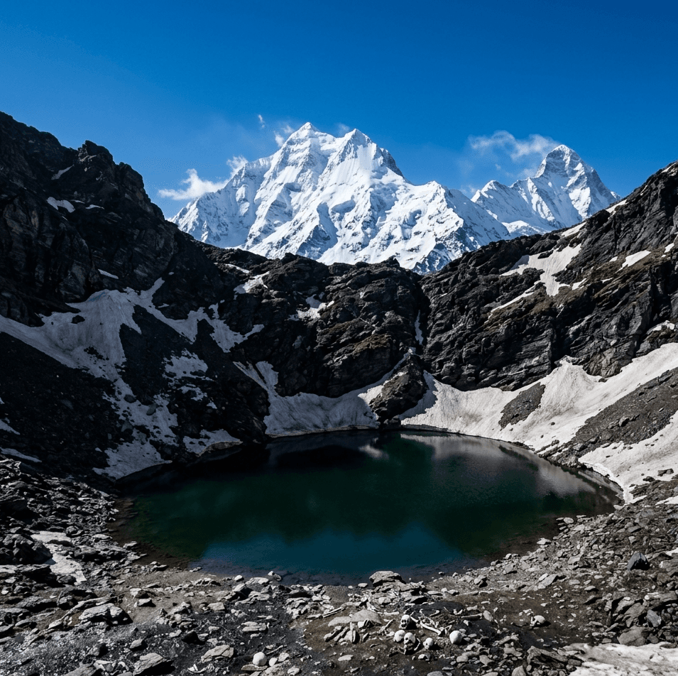 View image 5 of 9