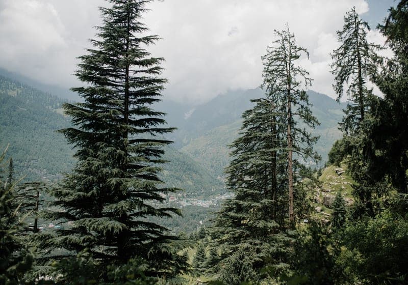 Manali