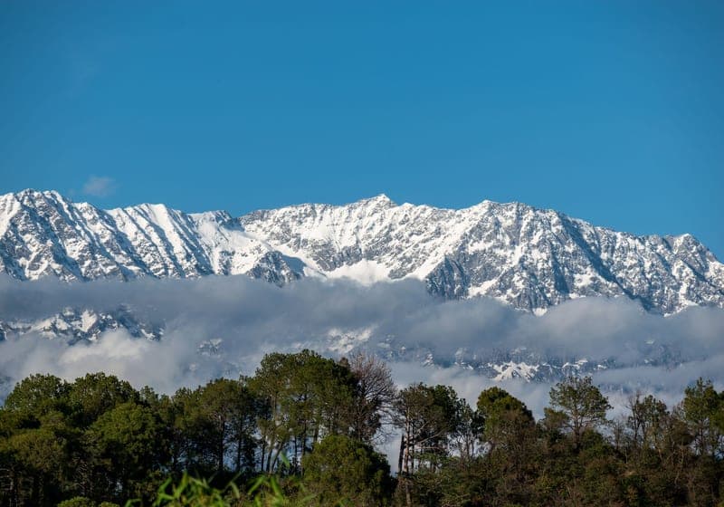 McLeod Ganj & Dharamshala