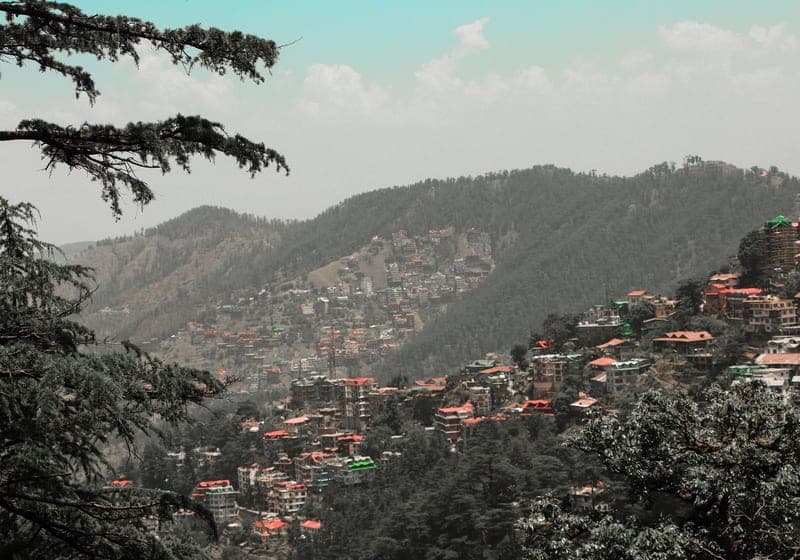 Kufri