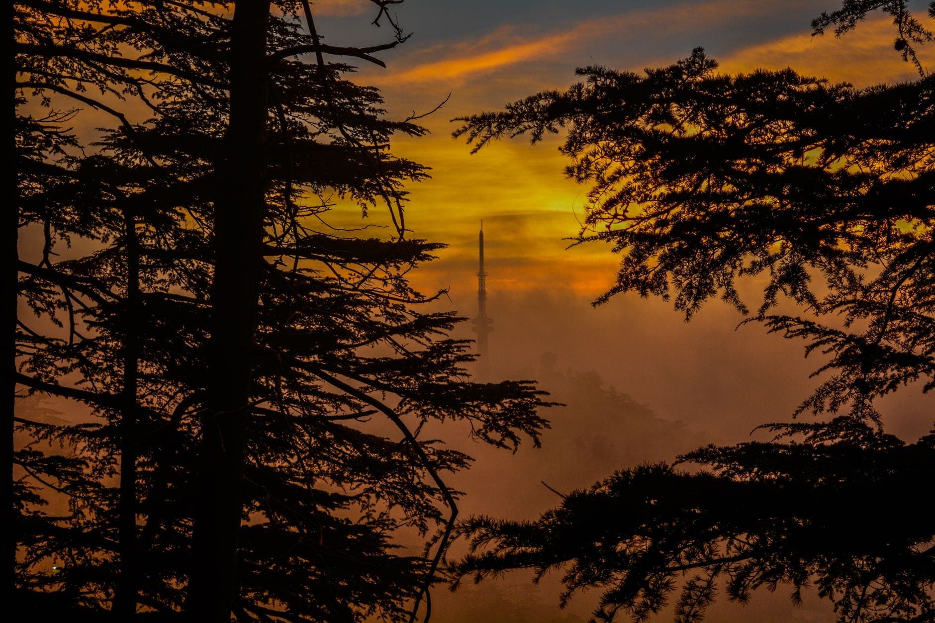 Shimla Manali Itinerary: A Perfect 6 to 7 Day Plan