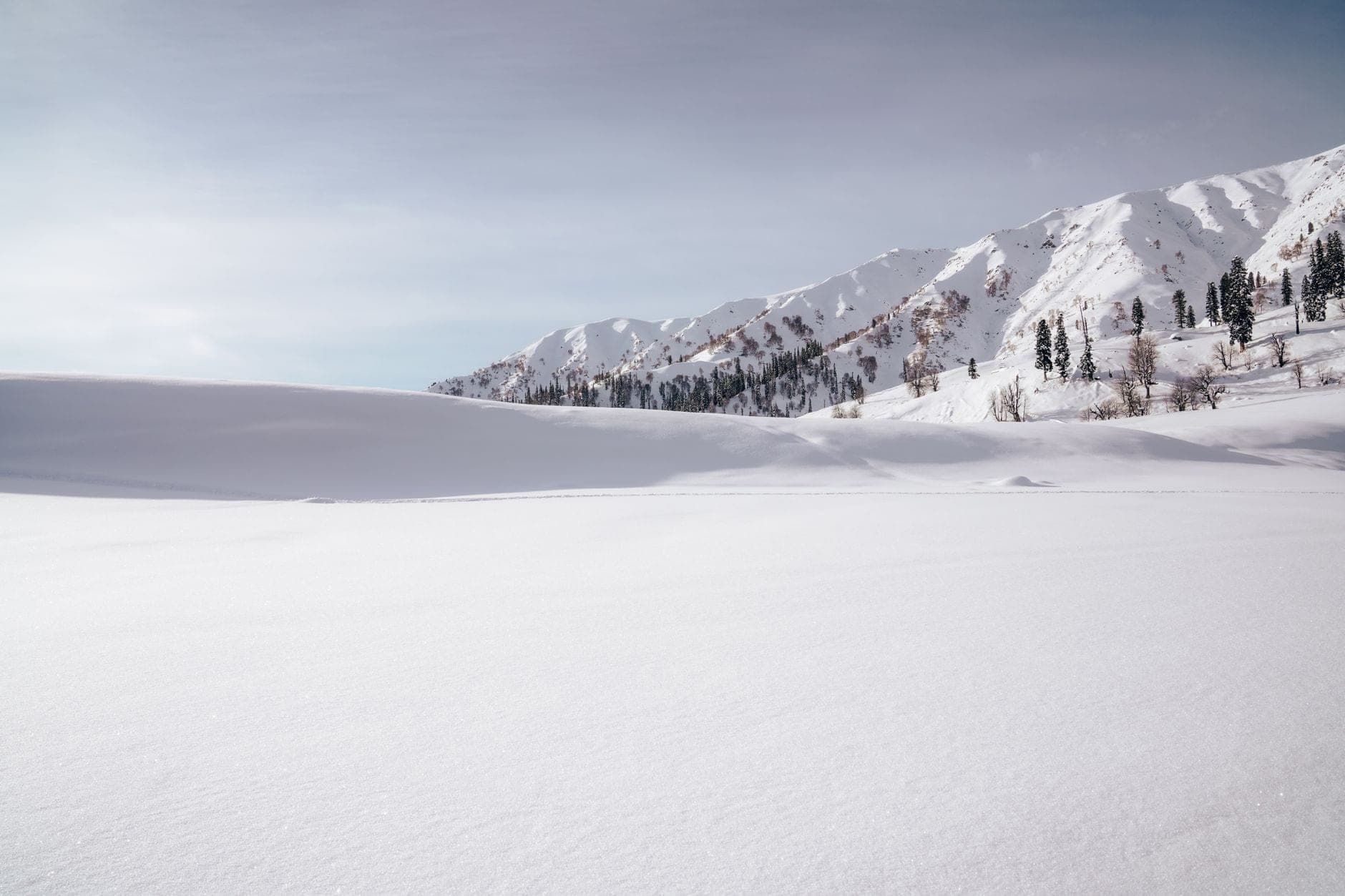 The Perfect 6 Day Kashmir Itinerary (Srinagar to Gulmarg)