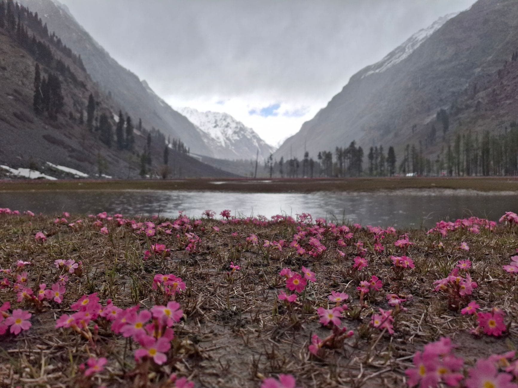 Uttarakhand Trip Cost: A Realistic Budget Breakdown