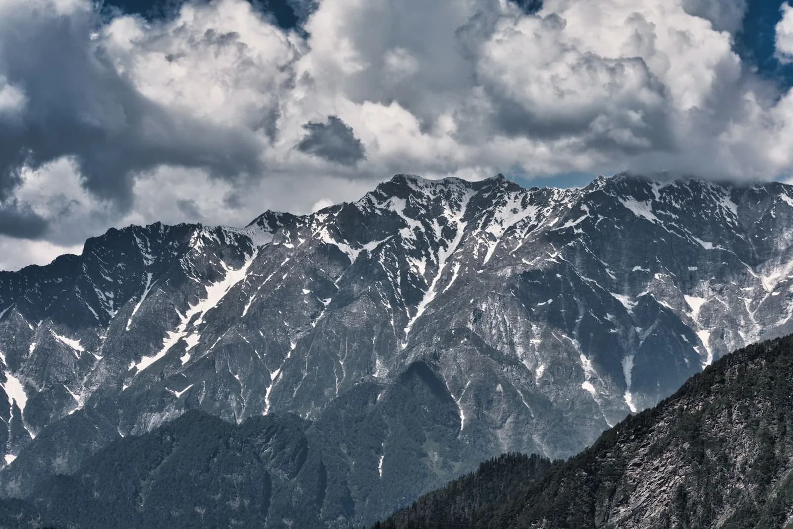 Dayara Bugyal Meadow Trek