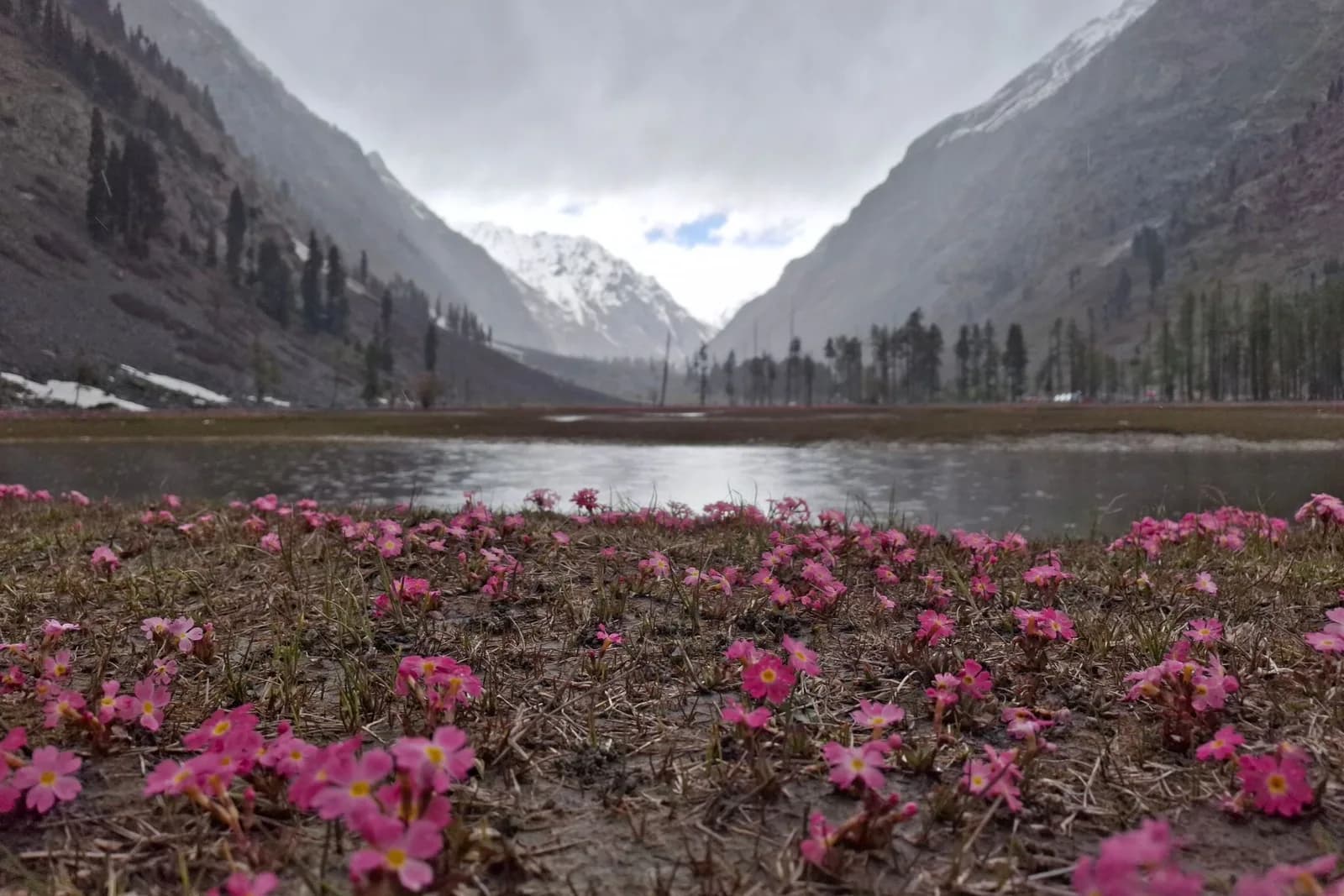 Valley of Flowers & Hemkund Sahib Trek