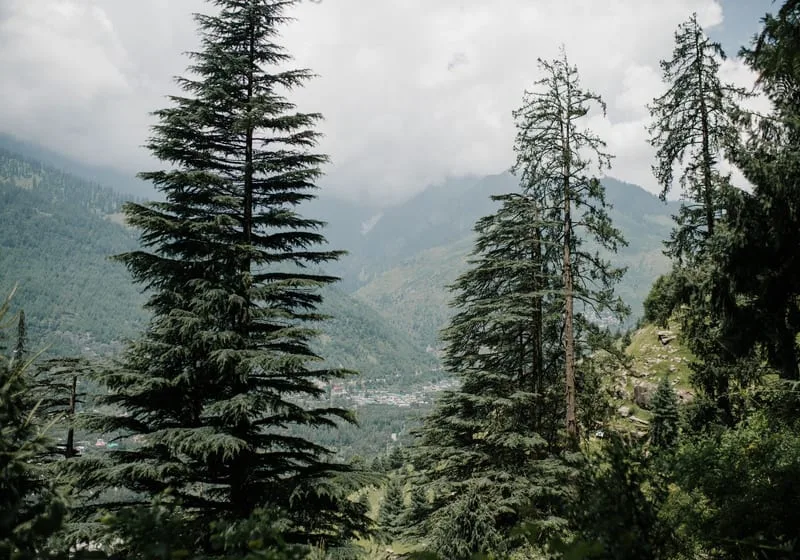Manali