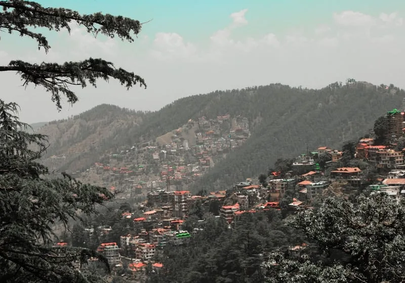 Kufri