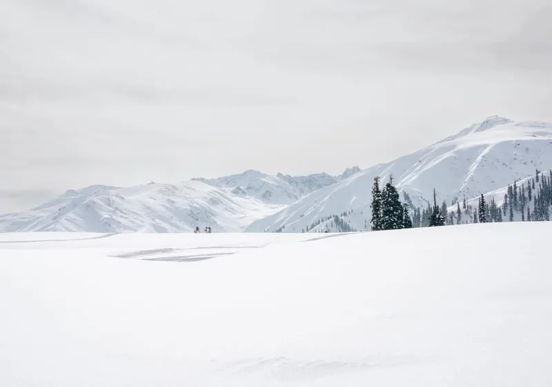 Gulmarg & the Gondola