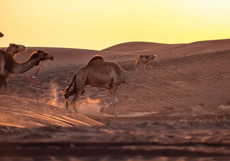 Jaisalmer