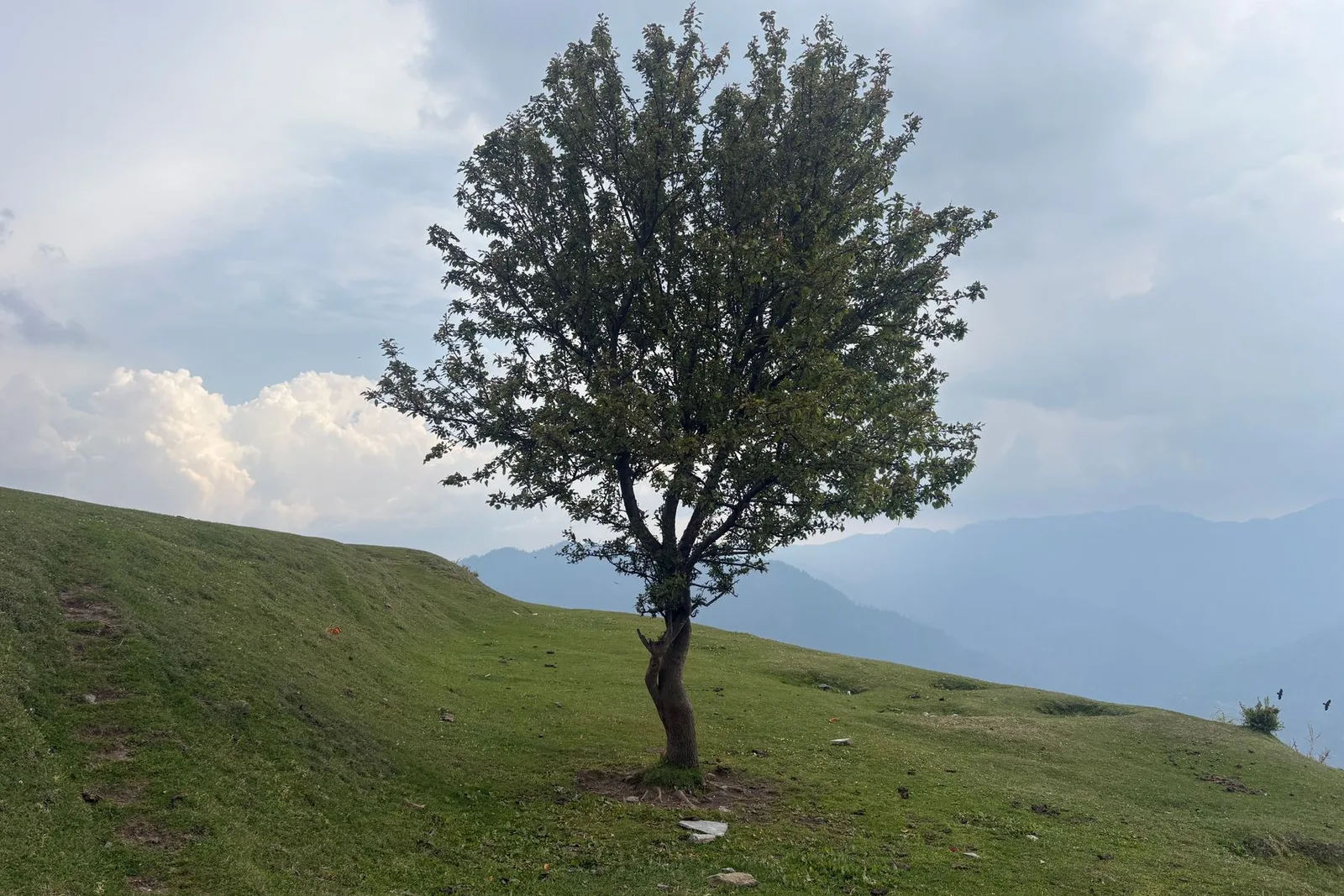 Hampta Pass Trek | Green Valleys to Lunar Lahaul in 5 Days