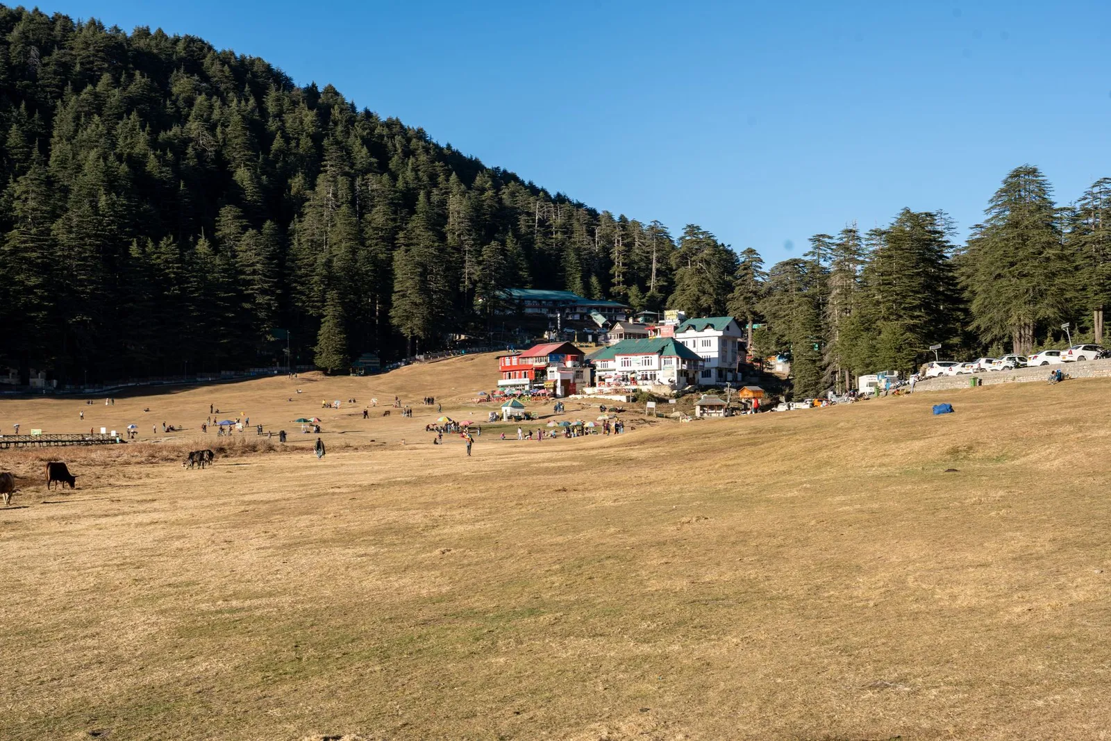 Lake deodar