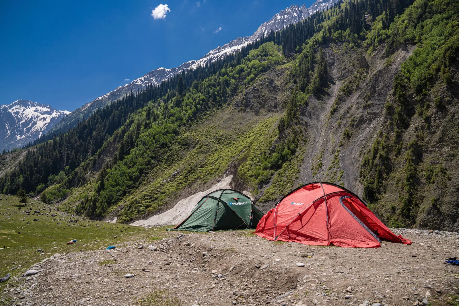 Spring meadow camp