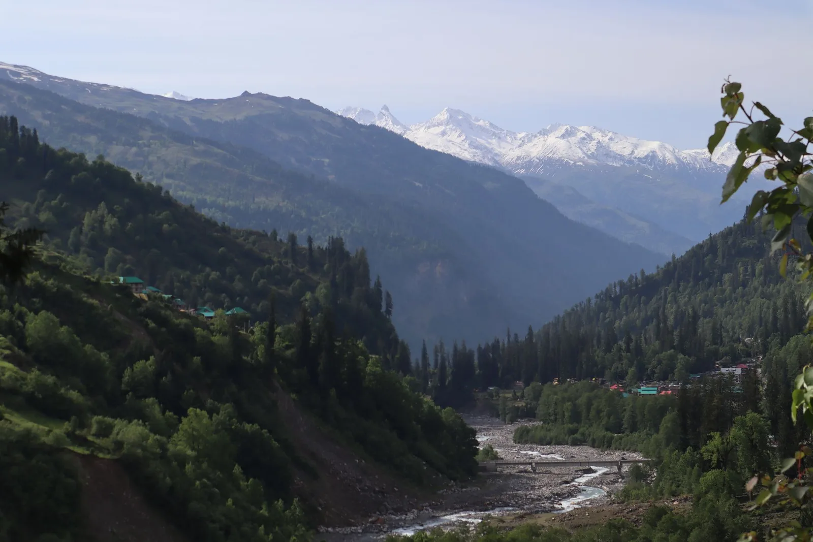 Manali Weekend Escape | Himalayan Pines & Mountain Air