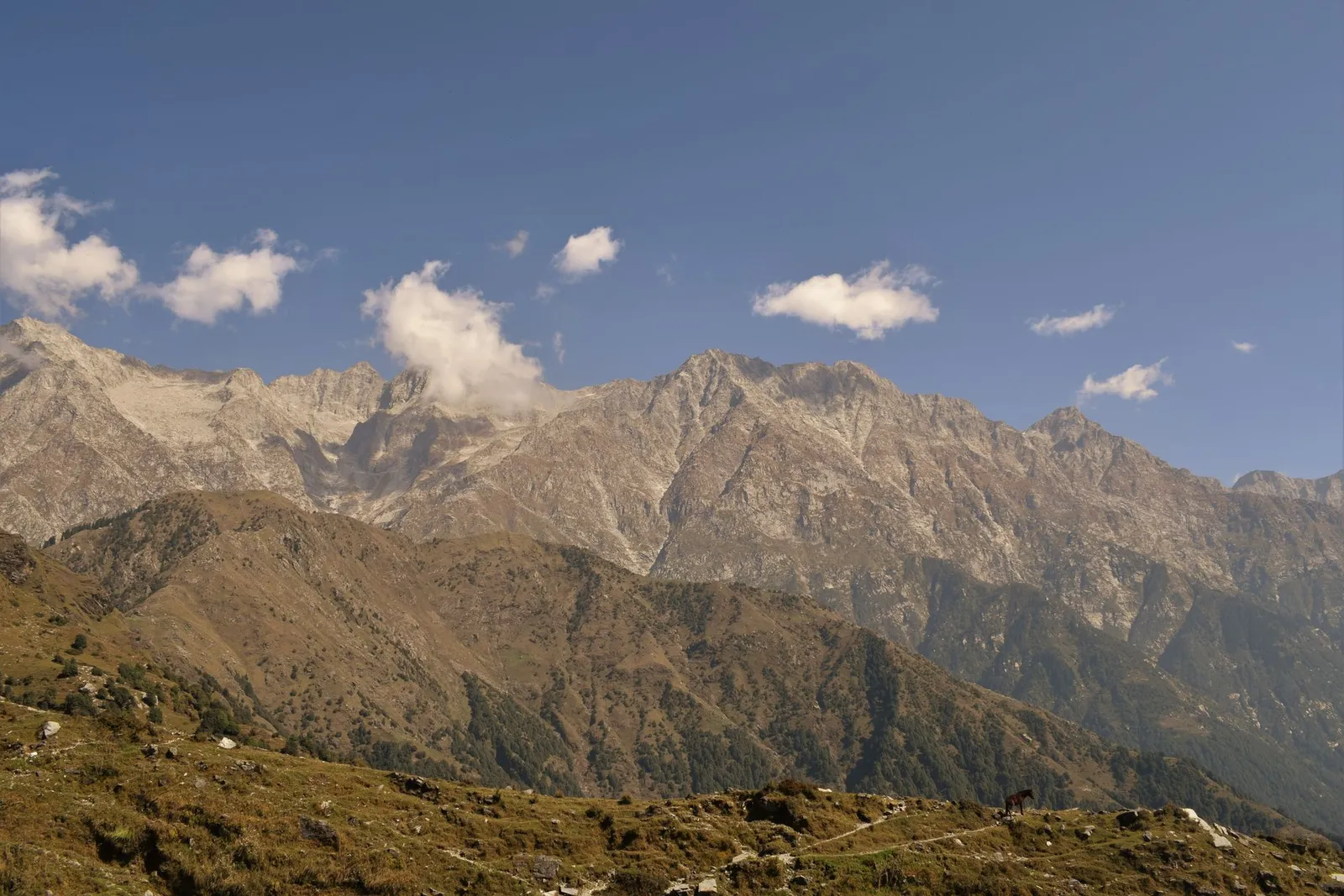 Sunrise dhauladhar