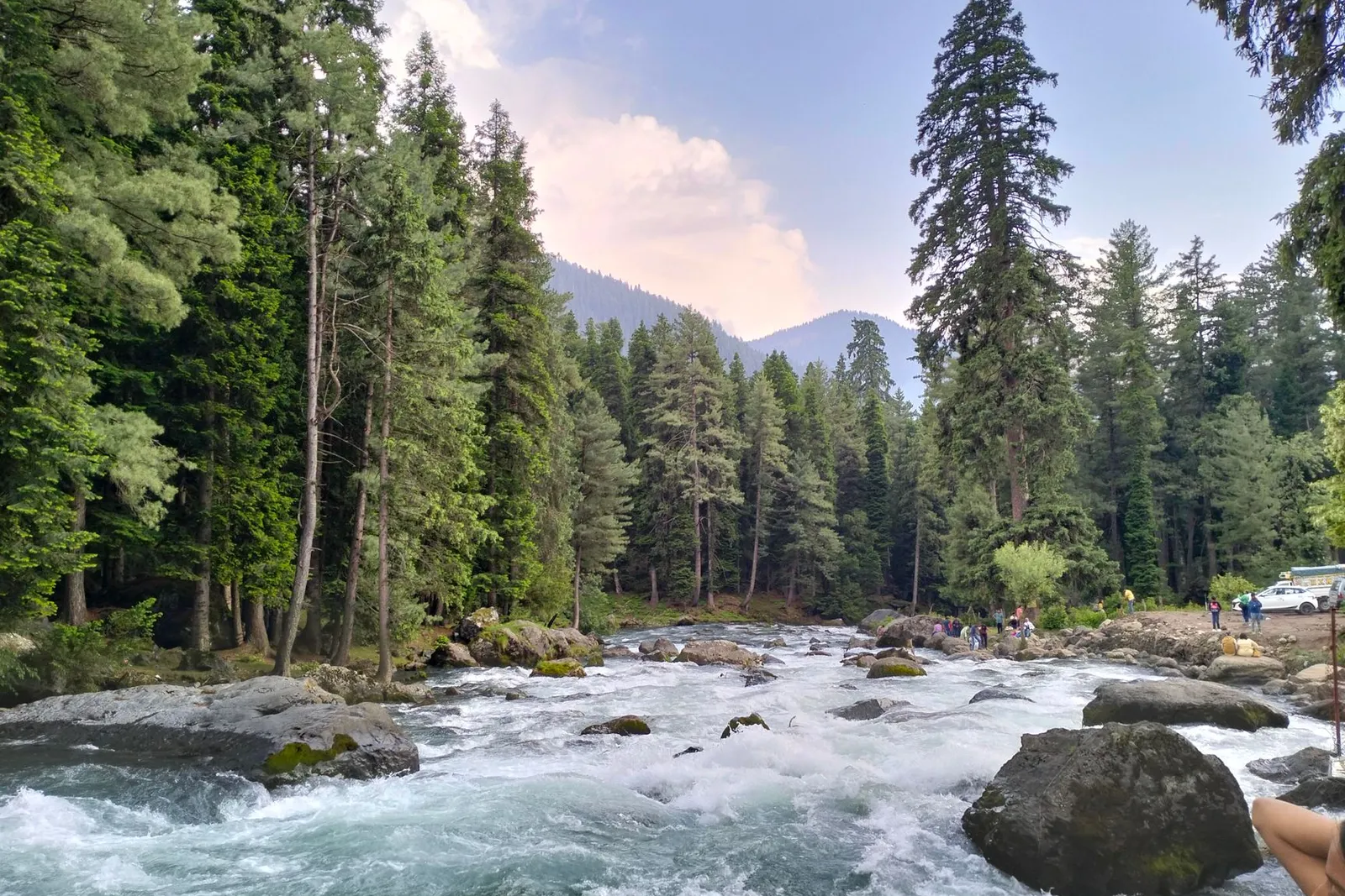 Valley meadow river