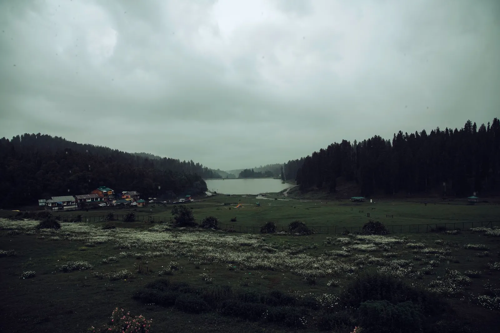 Meadow valley