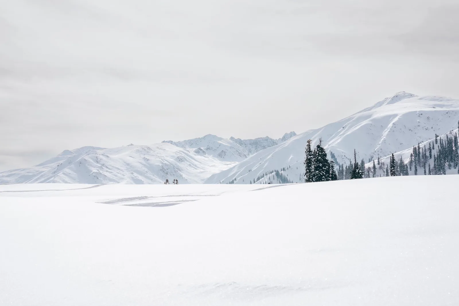 Gulmarg Honeymoon Getaway