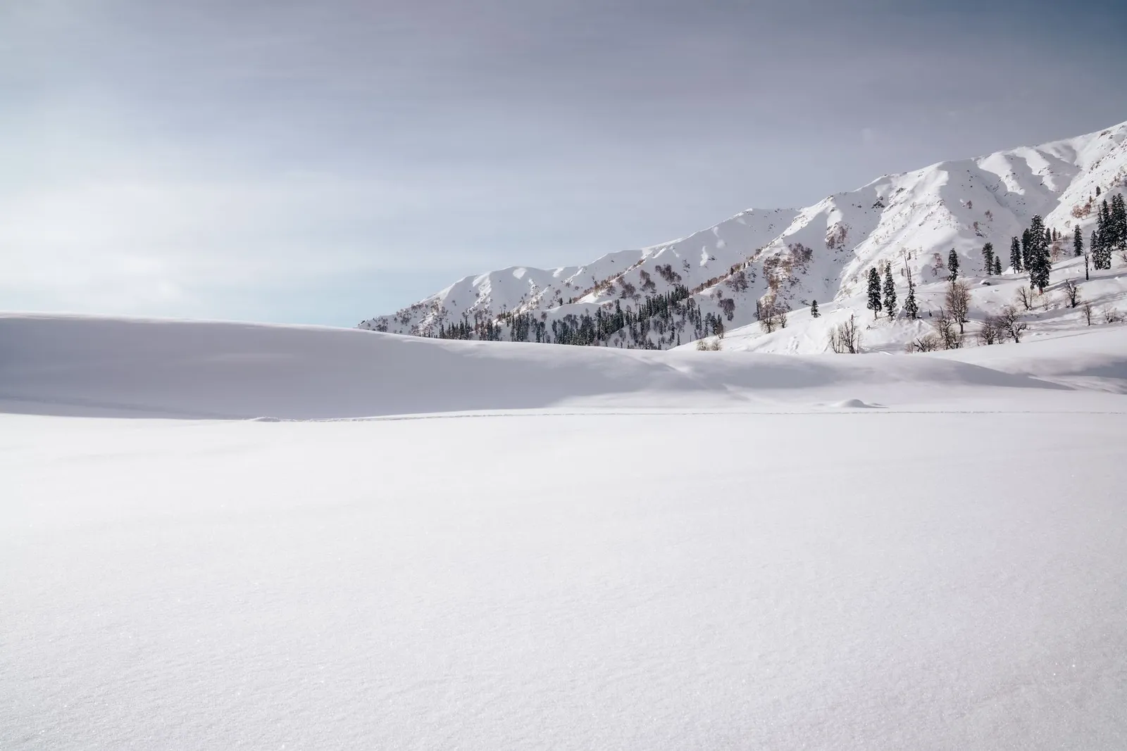 Apharwat snow