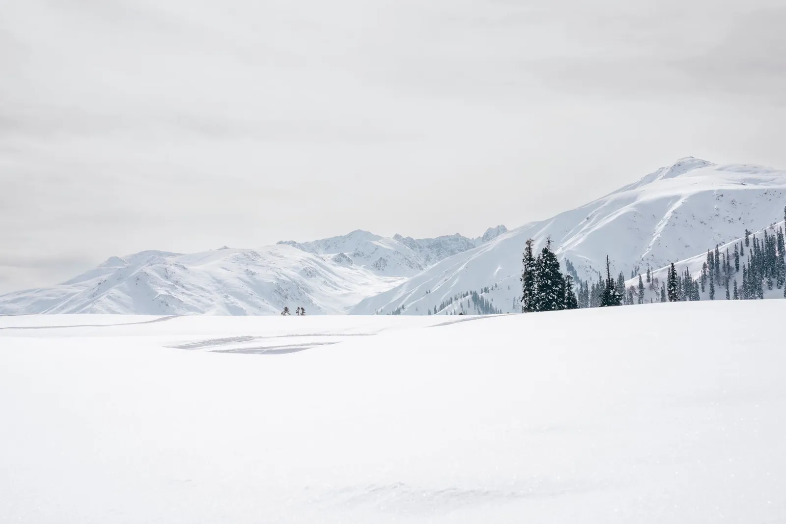 Apharwat snow