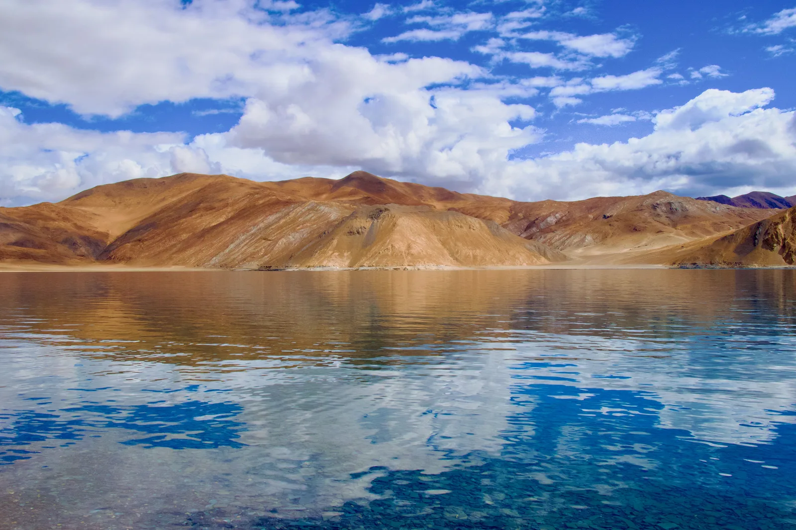 Ladakh 5-Day Private Tour, Pangong & Khardung La
