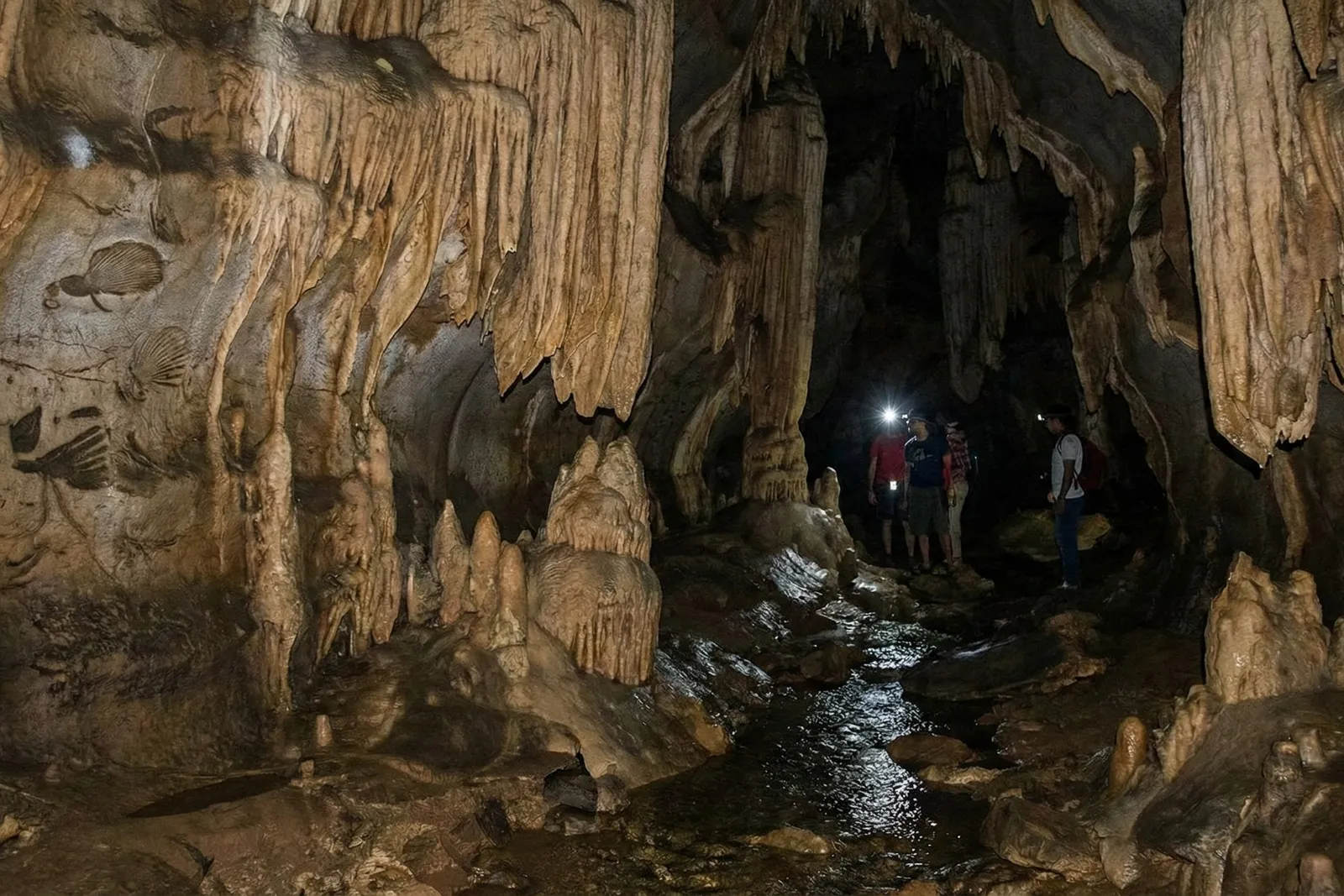 Arwah caves