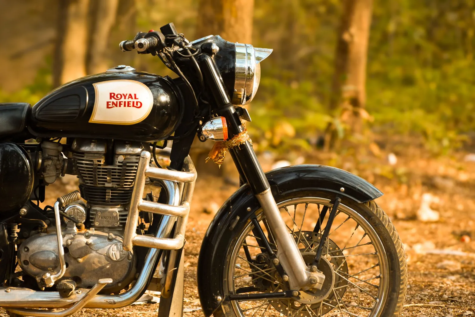 Riding the Thar