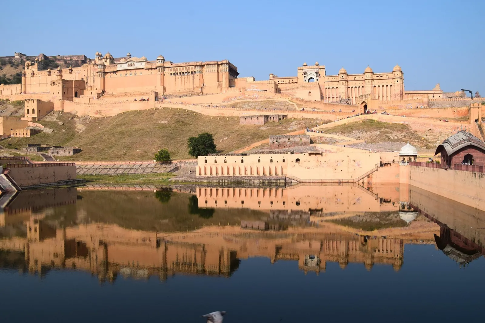 Amer Fort, Jaipur