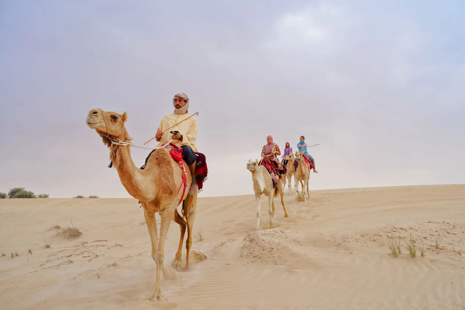 Camel safari