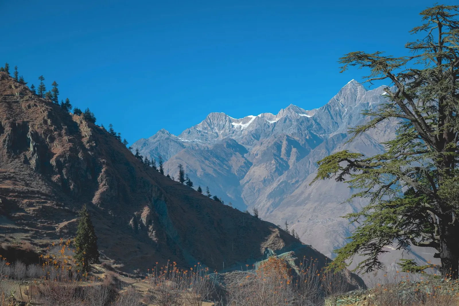Kinner Kailash, Kalpa