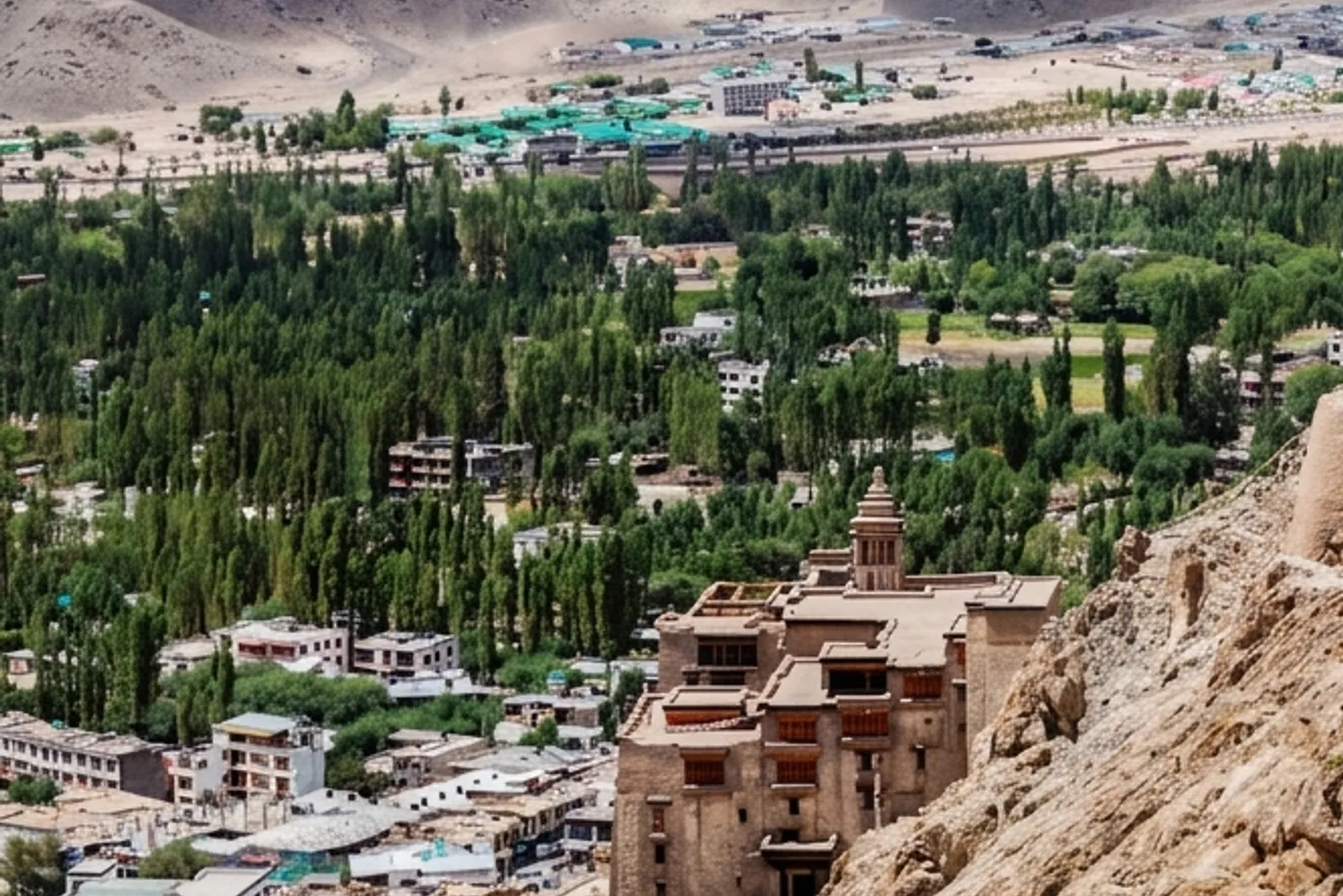 Leh Palace