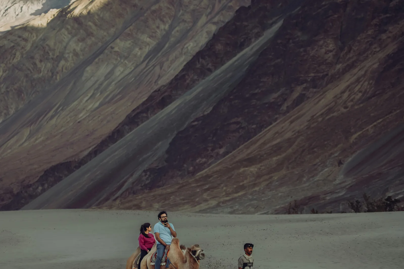 Camel ride, Hunder
