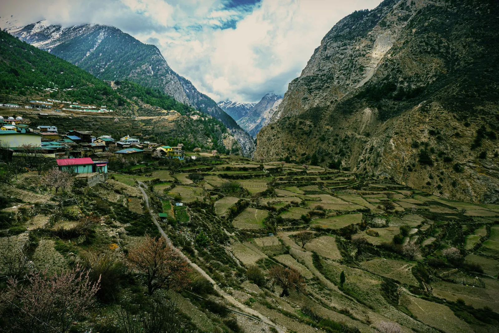 Mana village