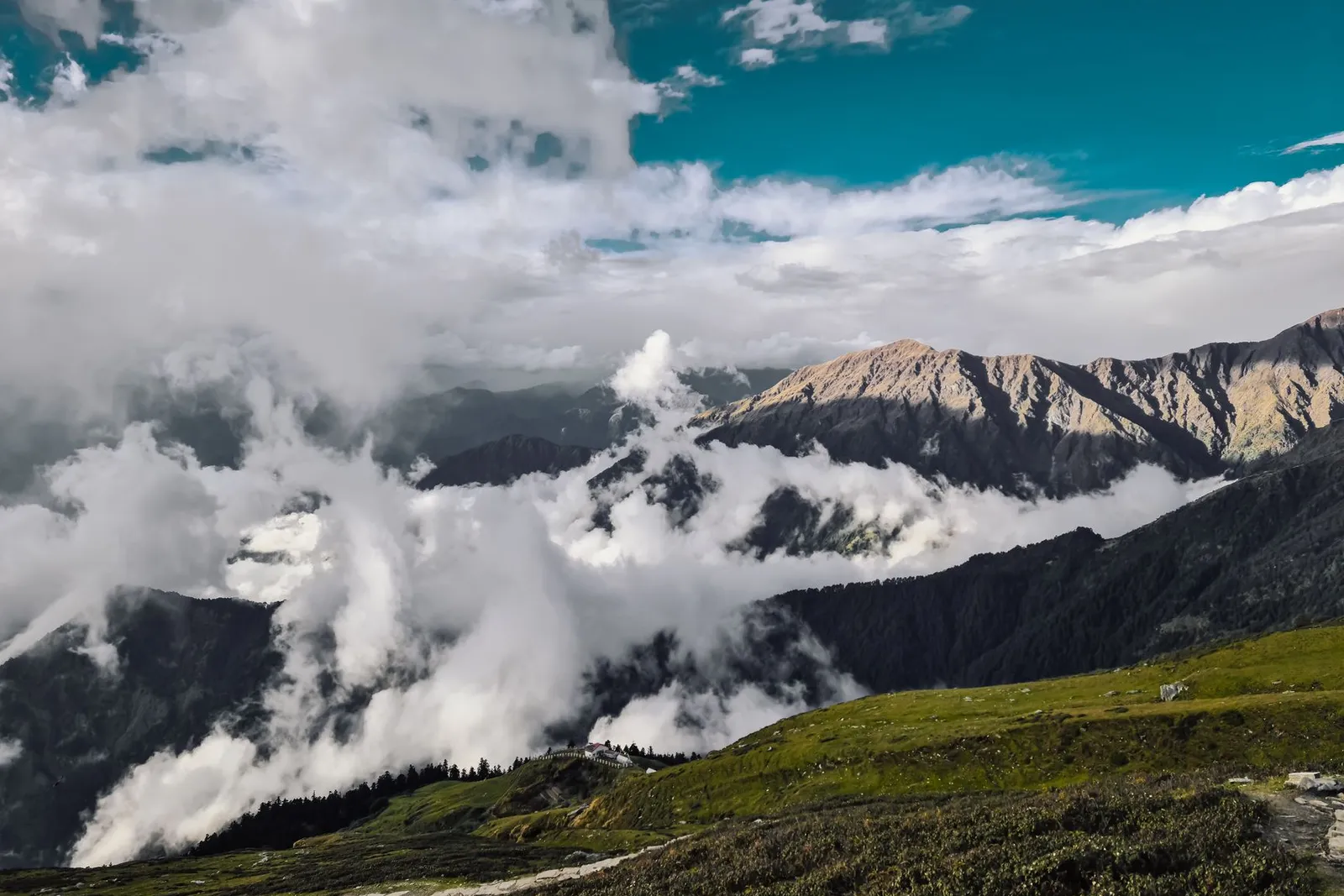 Ali Bugyal meadow