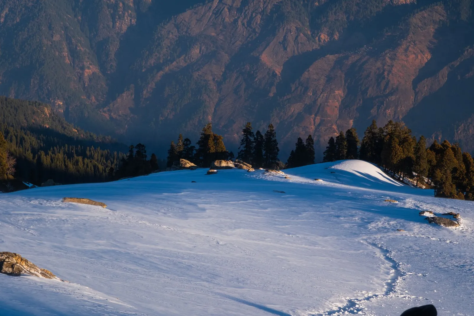 Alpine meadows