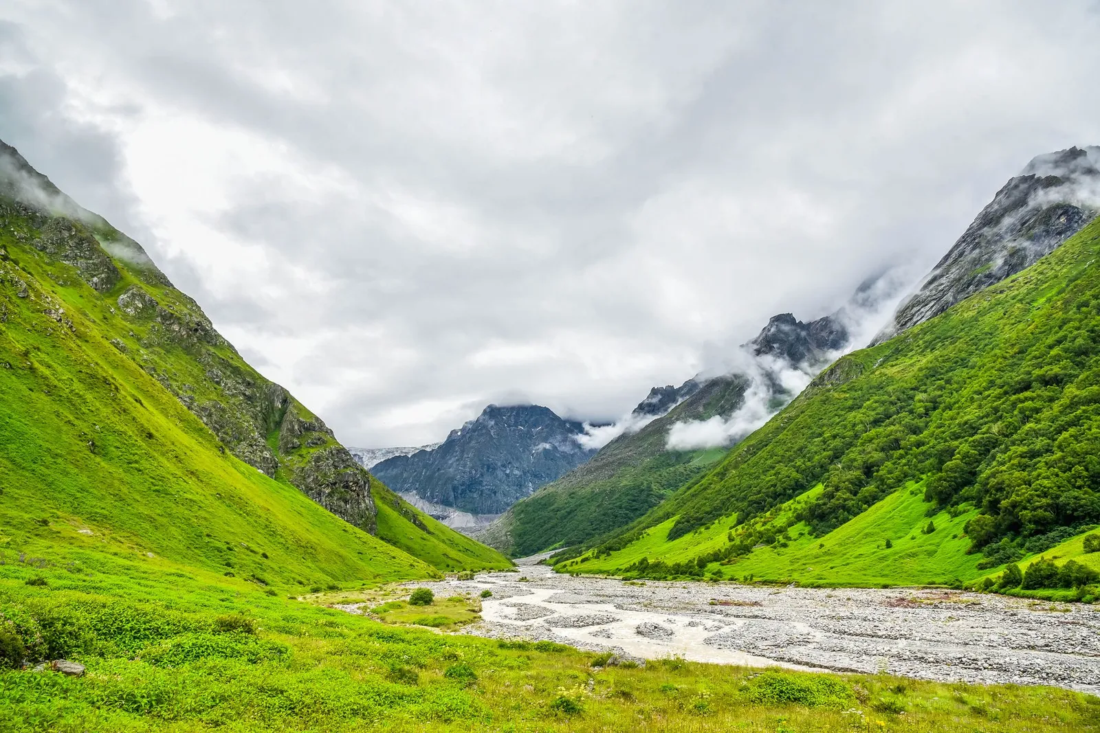 Alpine grassland