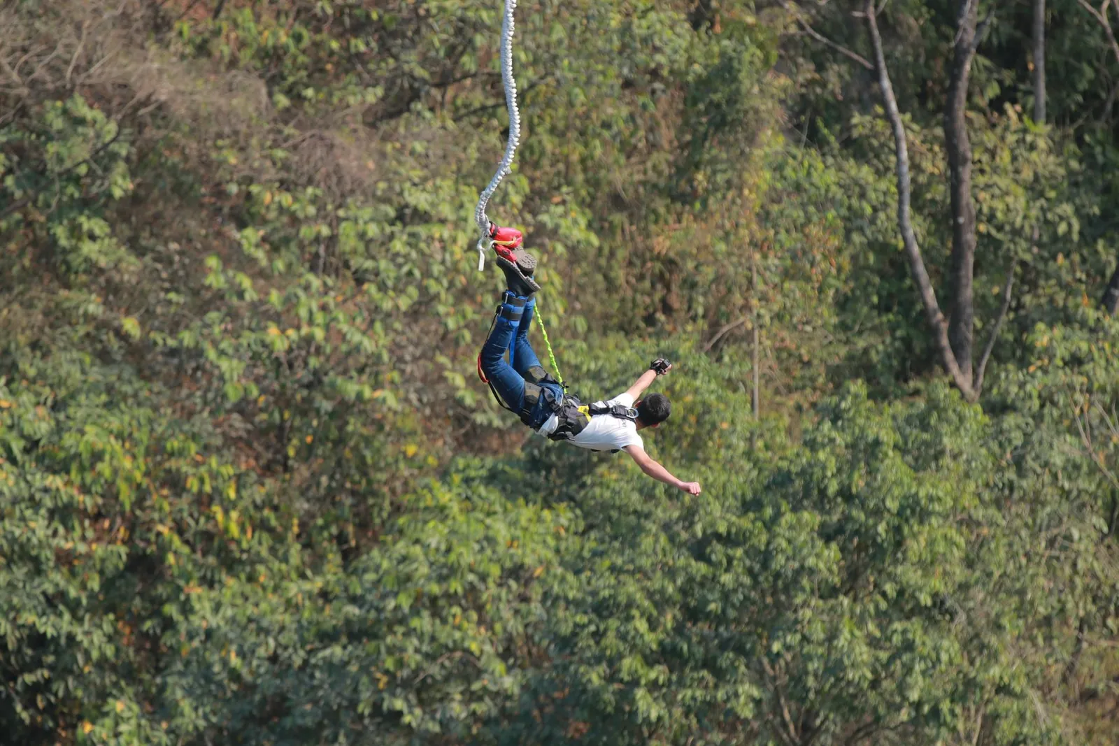 Bungee jumping