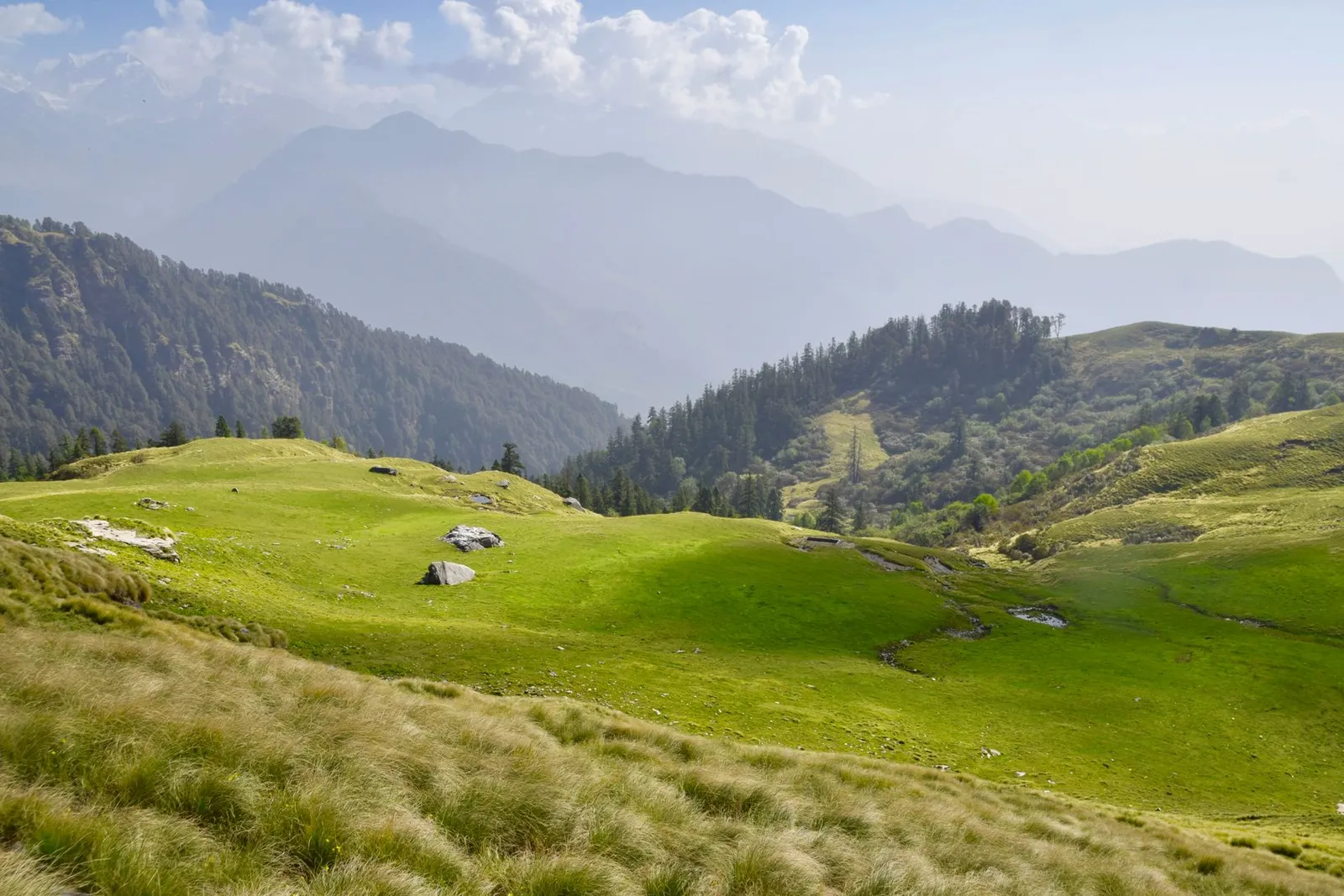 Trishul peak meadow