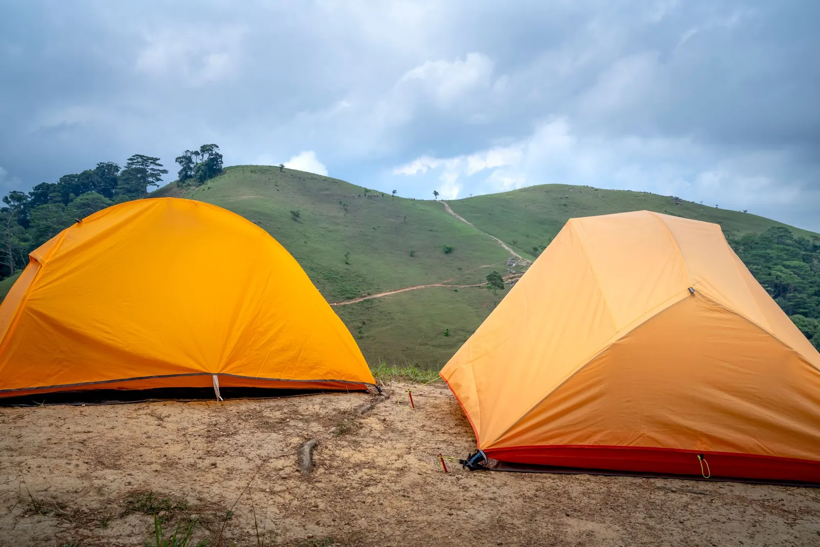 Bedni Bugyal camp