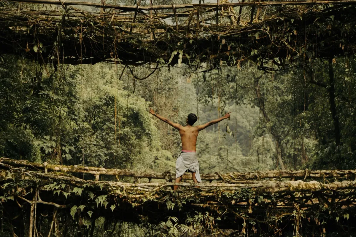 A visitor standing on the lower tier of the double decker living root bridge at Nongriat, with the upper span of woven roots overhead