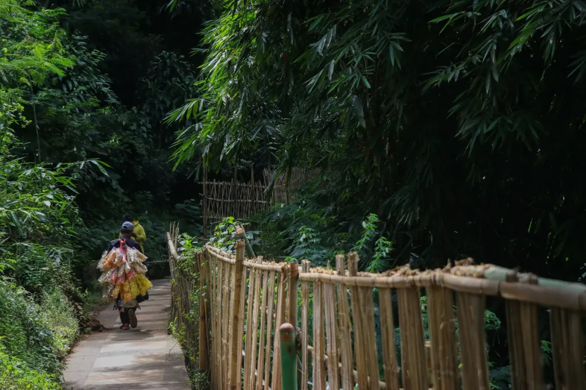 A bamboo-fenced footpath through dense green vegetation in Mawlynnong village, Meghalaya